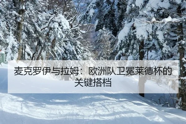 mai-ke-luo-yi-yu-la-mu-ou-zhou-dui-wei-mian-lai-de-bei-de-guan-jian-da-dang-2-320.jpg